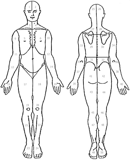 basic body diagrams
